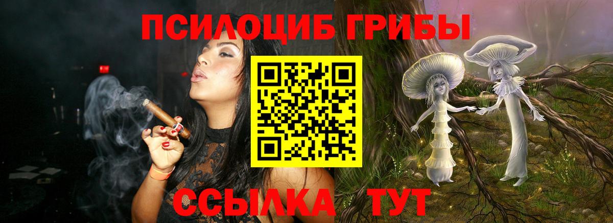 Псилоцибиновые грибы мицелий  Псилоцибиновые грибы ЛСД  Вход с VPN  Новодвинск 