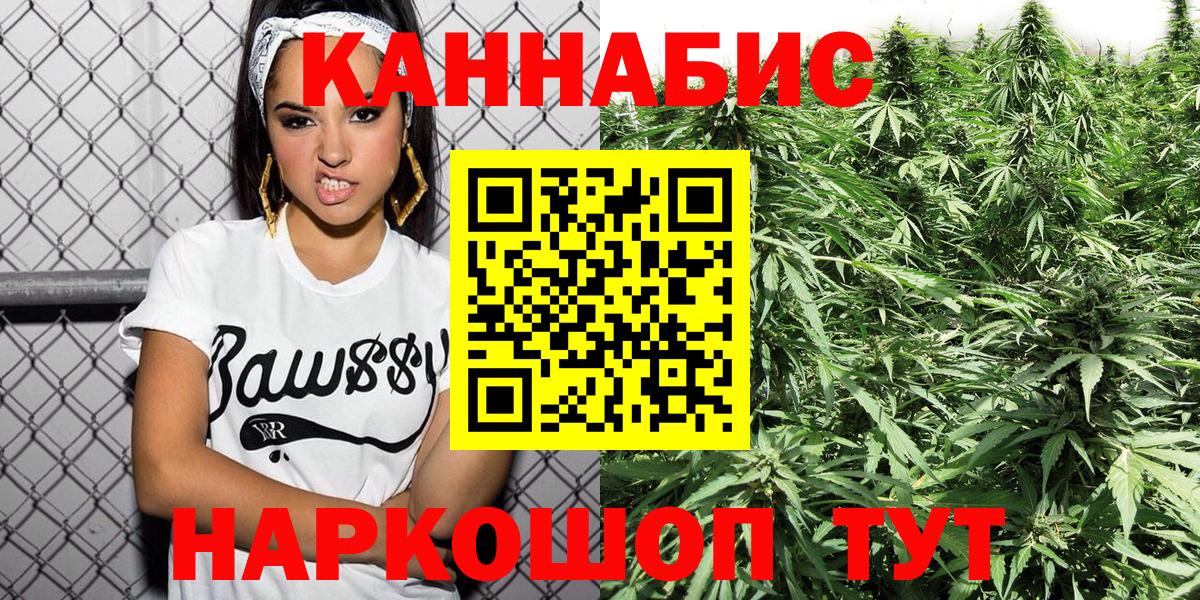 Каннабис сатива  Конопля сатива  Бошки Шишки планчик  Вход с VPN  Новодвинск 